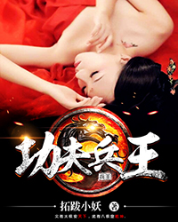 功夫兵王最新章节