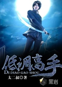 低调高手最新章节