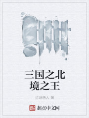 三国之北境之王最新章节