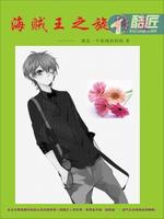 海贼王之旋转盘最新章节