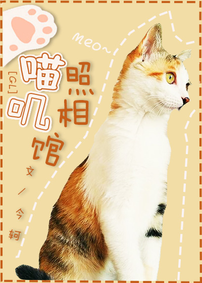 喵叽照相馆最新章节