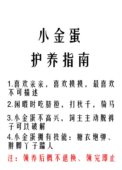 小金蛋护养指南最新章节