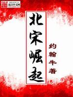 北宋崛起最新章节