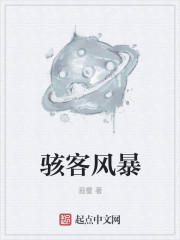 骇客风暴最新章节