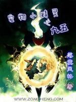 宠物小精灵之九五最新章节