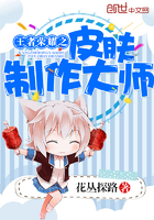 王者荣耀之皮肤制作大师最新章节