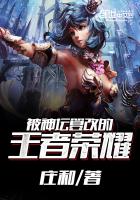 被神坛篡改的王者荣耀最新章节