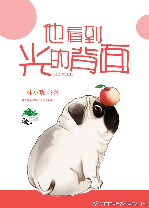 他看到光的背面最新章节