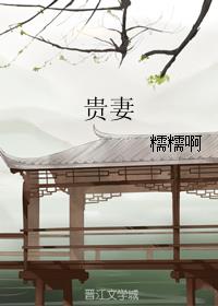 贵妻最新章节
