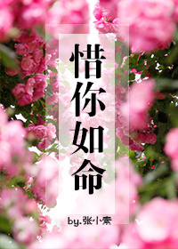 惜你如命最新章节