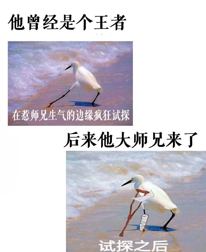 小师弟求你清醒一点最新章节