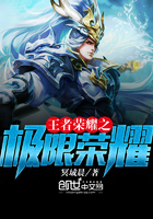 王者荣耀之极限荣耀最新章节