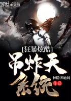 狂暴炫酷吊炸天系统最新章节