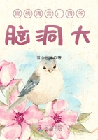 锦绣清宫:四爷,脑洞大最新章节