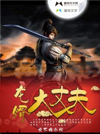 龙婿大丈夫最新章节