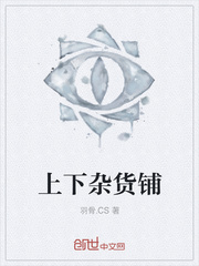 上下杂货铺最新章节