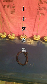 小小女弟马最新章节