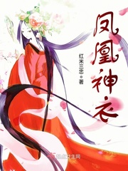 凤凰神衣最新章节