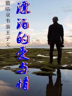 漂泊的爱与情最新章节