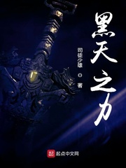 黑天之力最新章节