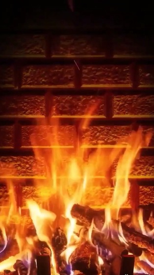 黑兰战记最新章节