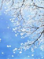 一瞬一世千百劫最新章节