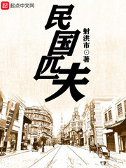 民国匹夫最新章节