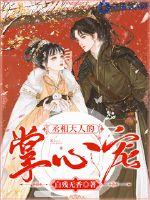 丞相大人的掌心宠最新章节