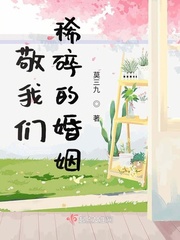 敬我们稀碎的婚姻最新章节