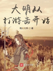 大明从打游击开始最新章节