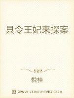 县令王妃来探案最新章节