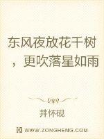 东风夜放花千树最新章节