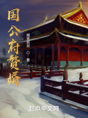 国公府赘婿最新章节