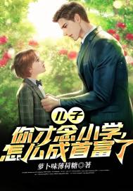 儿子,你才念小学,怎么成首富了最新章节