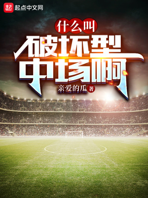 什么叫破坏型中场啊最新章节