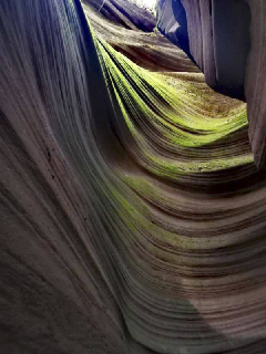 一个官二代一个富二代,真的很难选啊最新章节