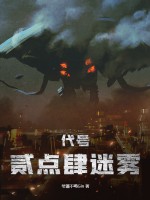 代号：贰点肆迷雾最新章节