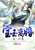 宝玉离婚最新章节