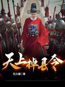 天上掉县令最新章节