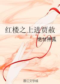 红楼之上进贾赦最新章节