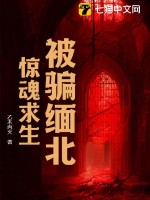 被骗缅北，惊魂求生最新章节