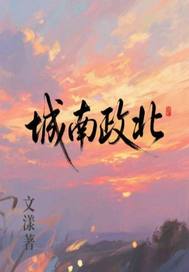 城南政北最新章节