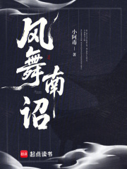 风舞南诏最新章节