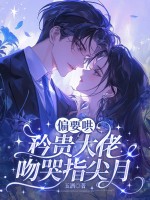 偏要哄，矜贵大佬吻哭指尖月最新章节