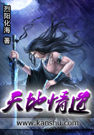 天地情道最新章节