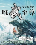风云纪事之唯武至尊最新章节
